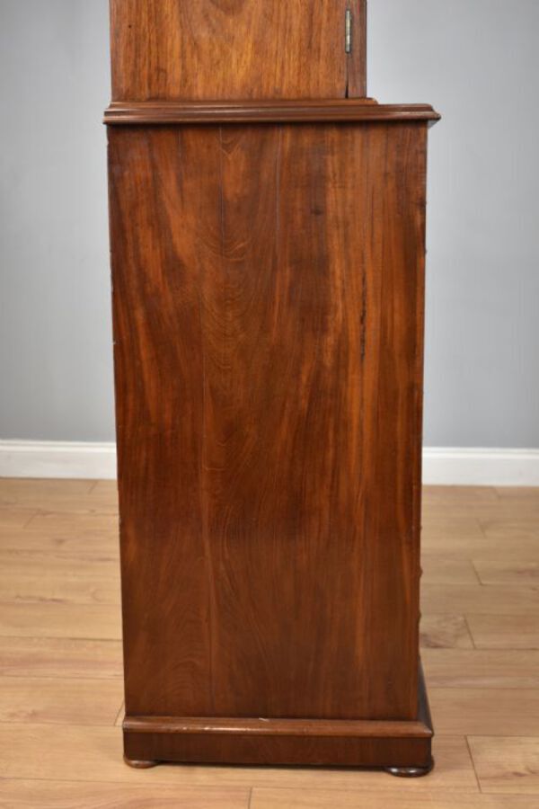 Antique 19th Century Victorian Mahogany Collectors Chest