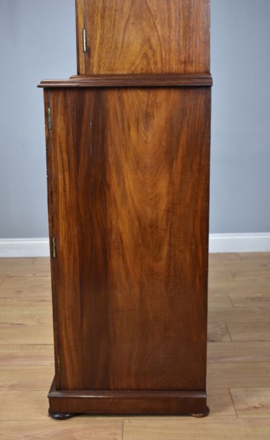 Antique 19th Century Victorian Mahogany Collectors Chest