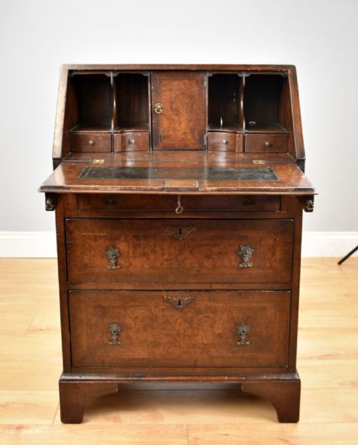 Small 19th Century Burr Walnut Bureau