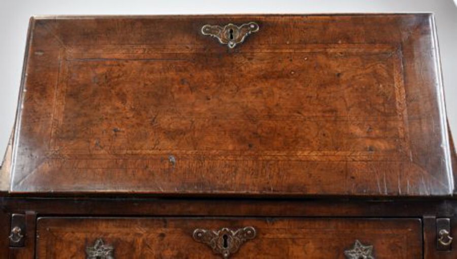 Antique Small 19th Century Burr Walnut Bureau