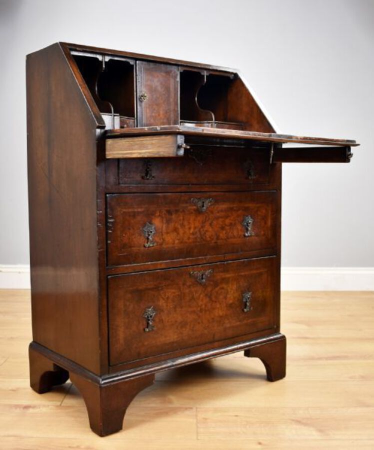 Antique Small 19th Century Burr Walnut Bureau