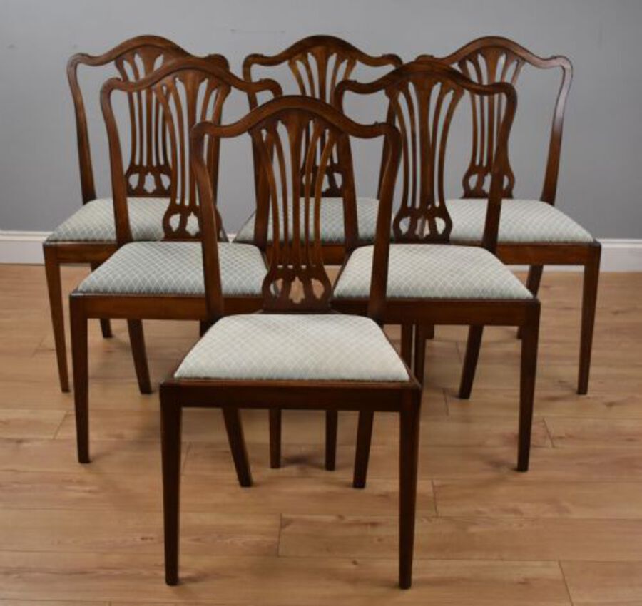 Antique Set 20th Century Mahogany Dining chairs