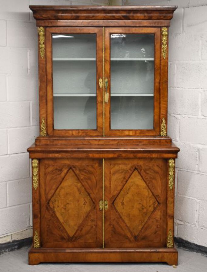 Victorian Burr Walnut Bookcase