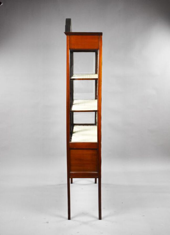 Antique Edwardian Mahogany Display Cabinet
