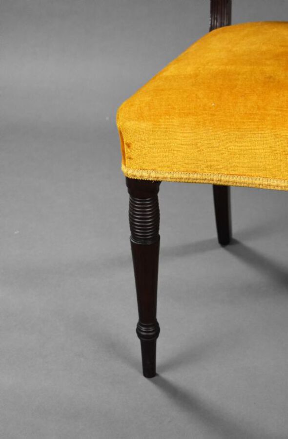 Antique Set of 4 Regency Mahogany Dining Chairs