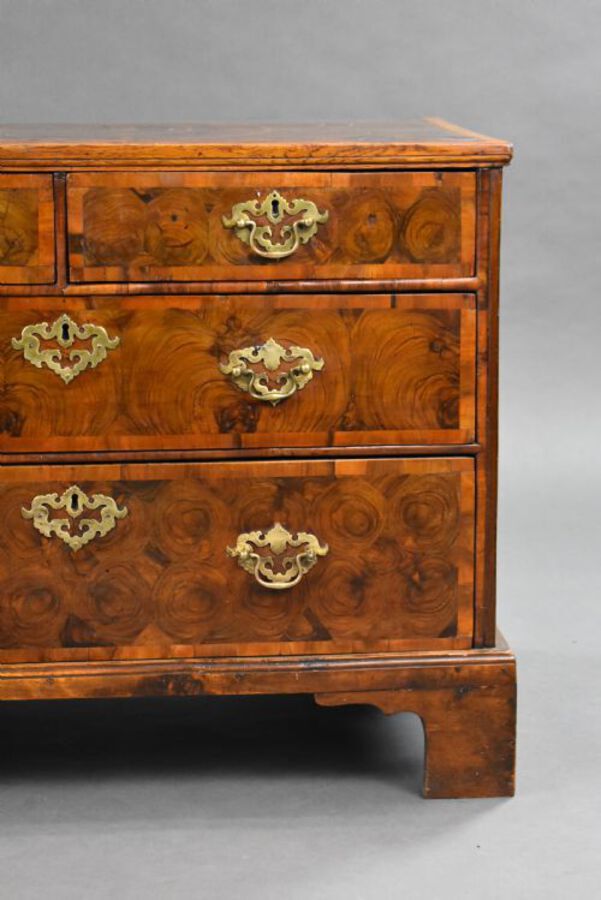 Antique Early 18th Century Walnut Oyster Veneered Chest