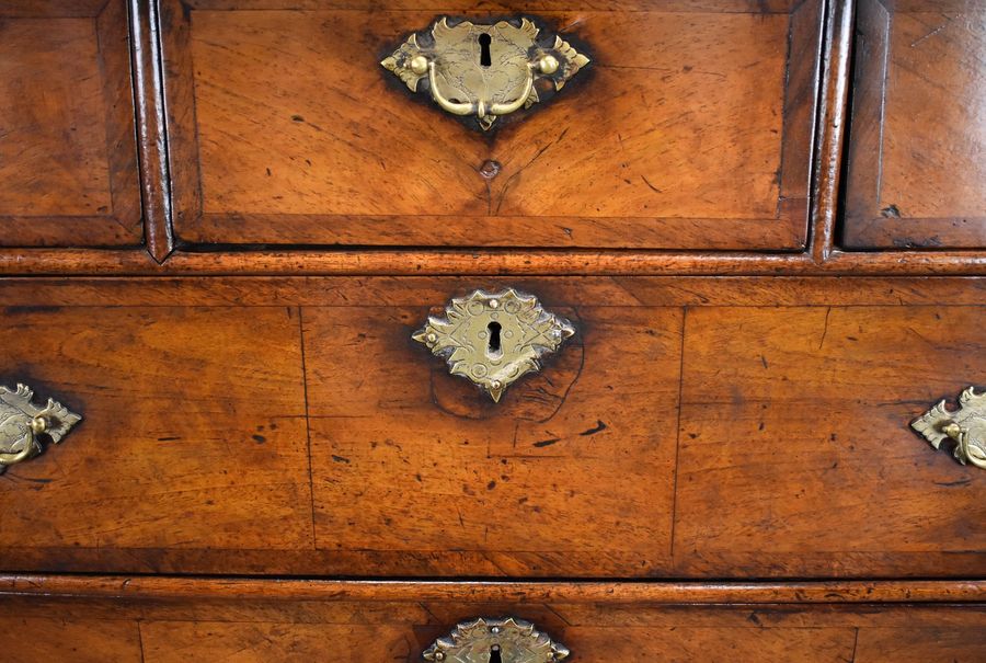 Antique George II Burr Walnut Chest on Stand