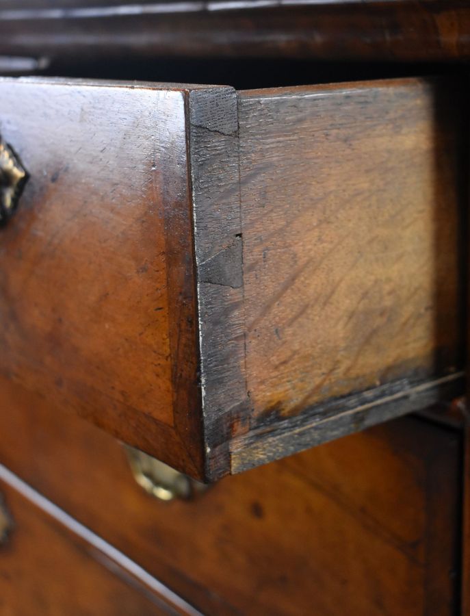 Antique George II Burr Walnut Chest on Stand