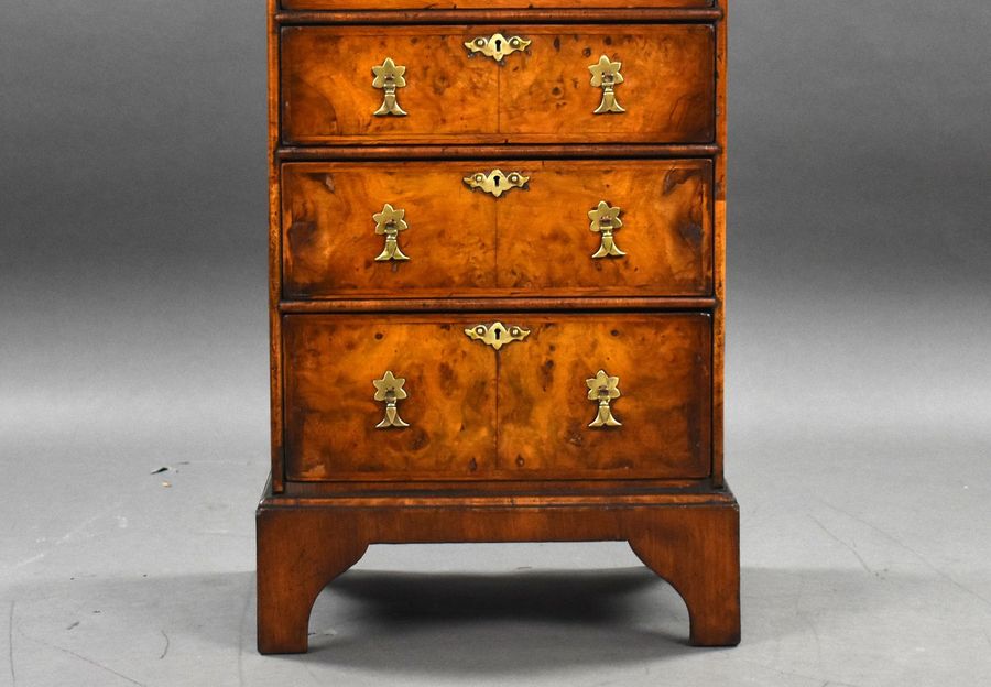 Antique Antique Burr Walnut Chest of Drawers