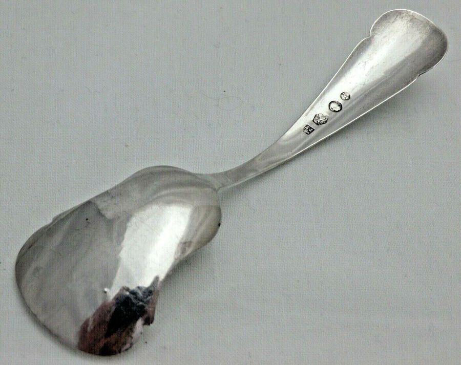 Antique Antique Sterling Solid Silver Dutch Caddy Spoon circa 1884  (1493/C/VNY)