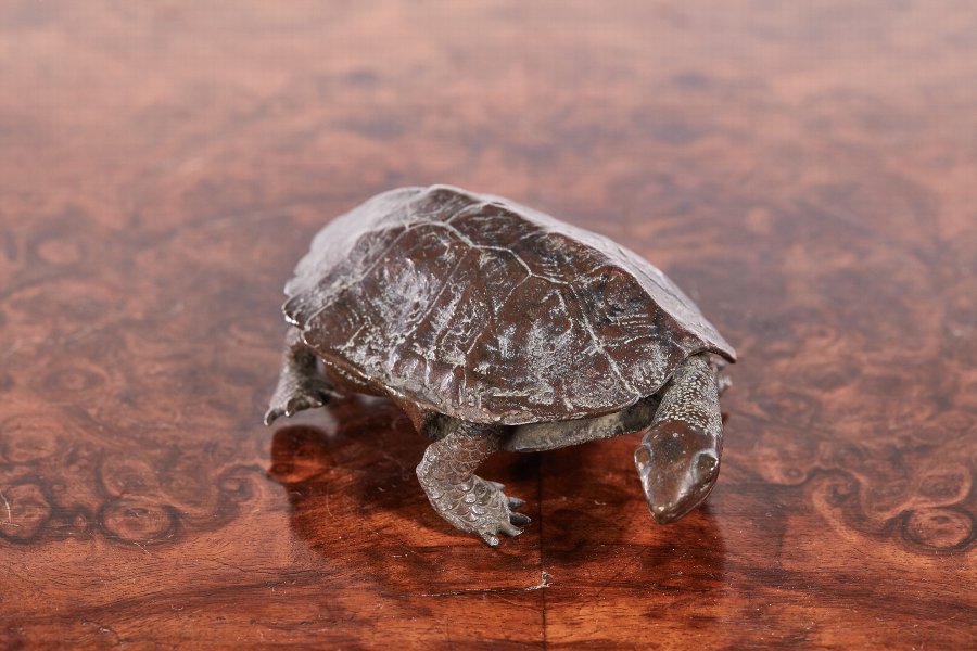 Antique Bronze Tortoise
