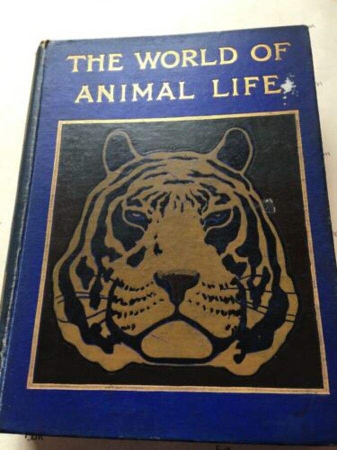 Vintage Book ‘The World Of Animal Life’edited By Fred Smith. 1902