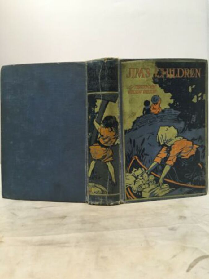 Vintage Book ‘Jim’s Children By Theodora Wilson Wilson