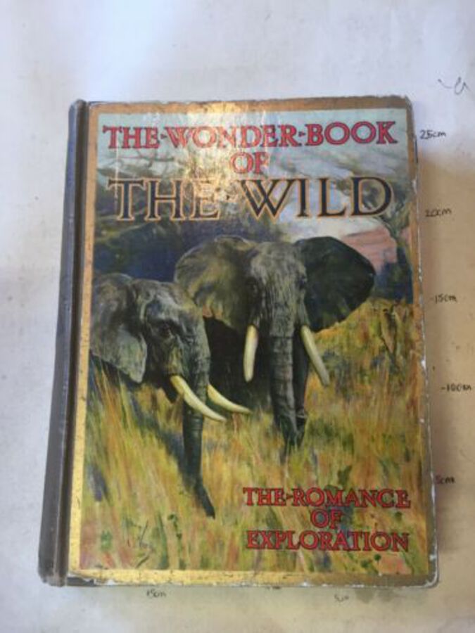 Wonder Book Of The Wild Game Exploration London 20 Colour Plates