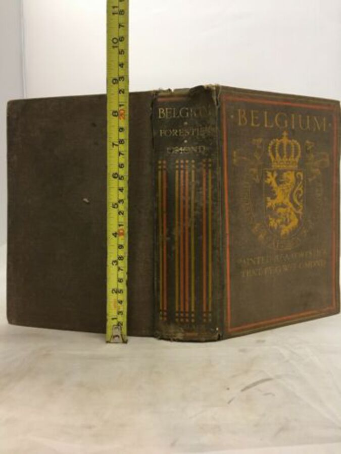 Vintage Book ‘Belgium Painted By Amedee Forestier Text By George W T Onond