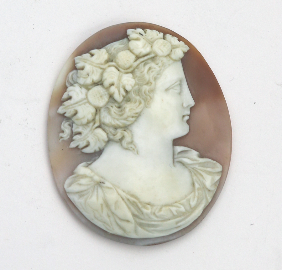 A fine & large antique carved shell classical portrait Cameo C.19th