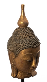 Antique Buddha Head - Antique Burmese Style Shan Gold Wood Buddha Head - 38cm/15