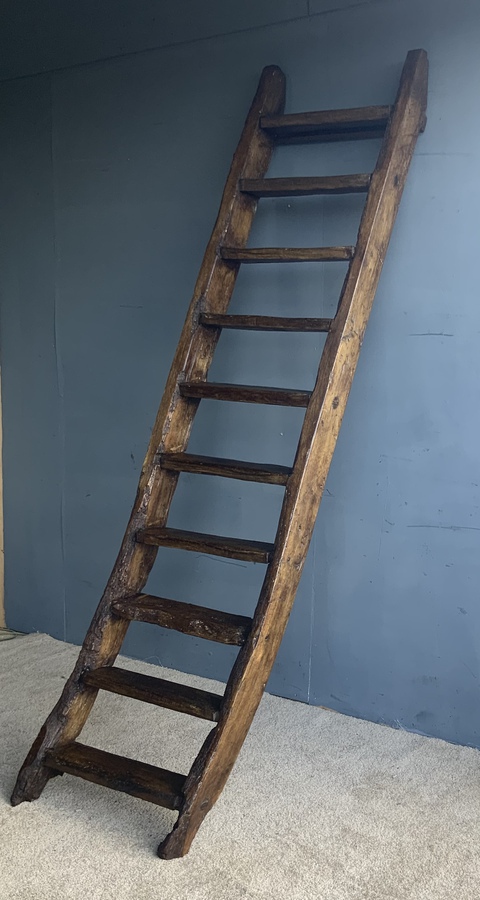 Antique Antique Oak and Elm Hay-loft Ladder - 18th Century