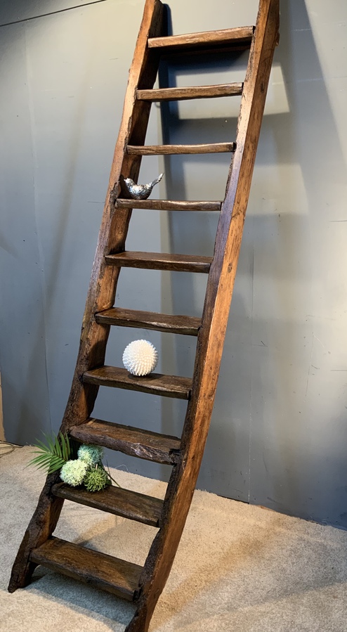 Antique Oak and Elm Hay-loft Ladder - 18th Century