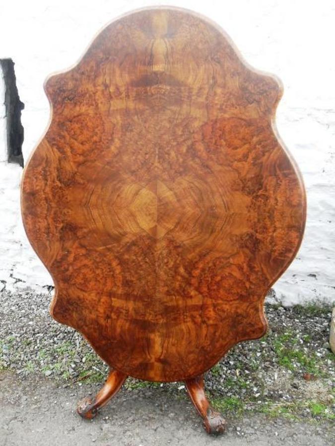 Victorian Burr walnut loo table