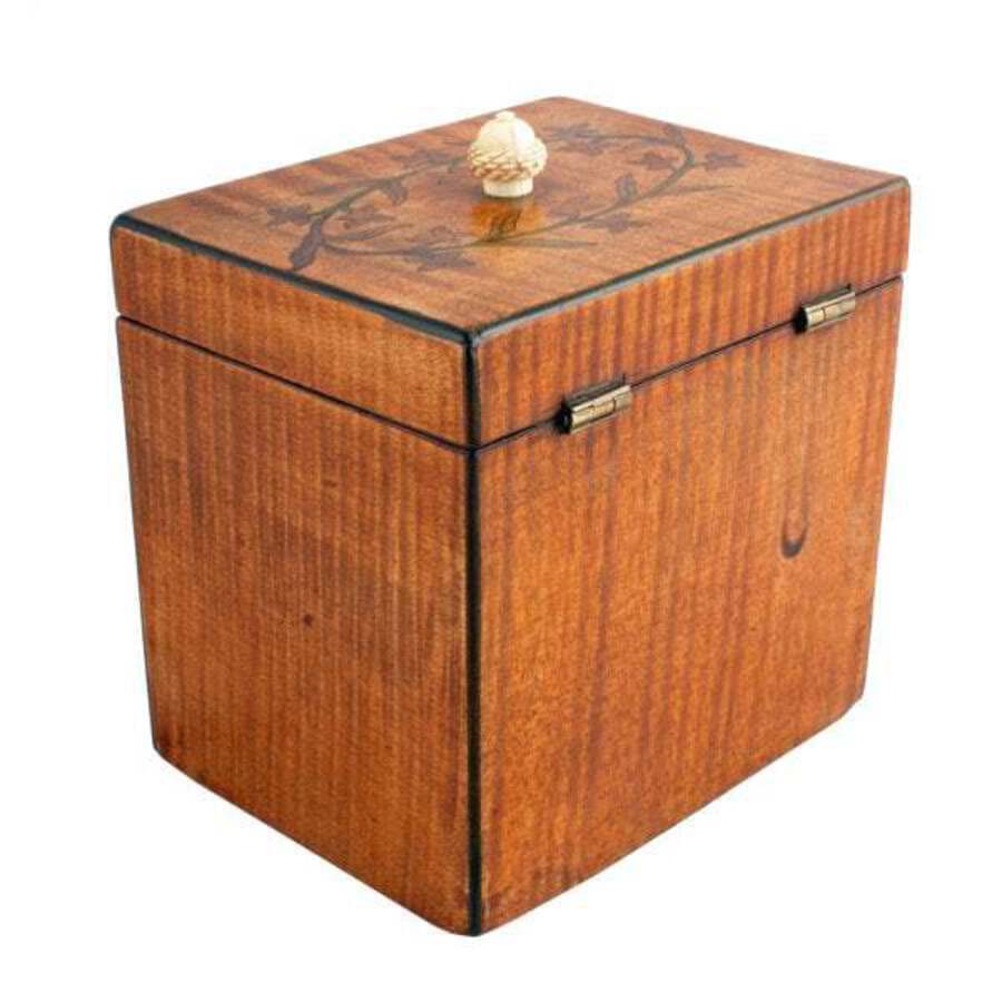 Antique 18th Century Satinwood Tea Caddy 