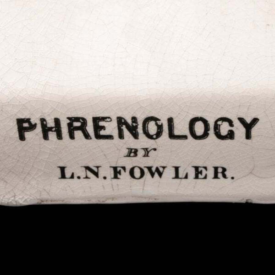 Antique 20th Century Pottery Phrenology Head 