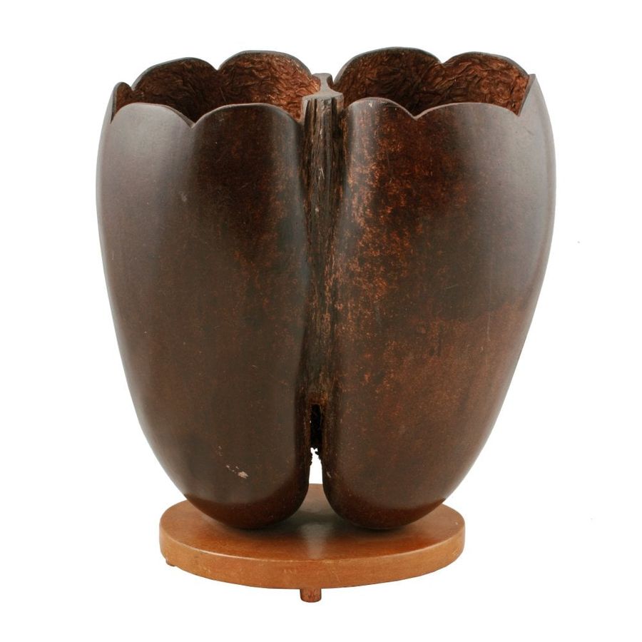 Antique Coco de Mer Shell Vase 