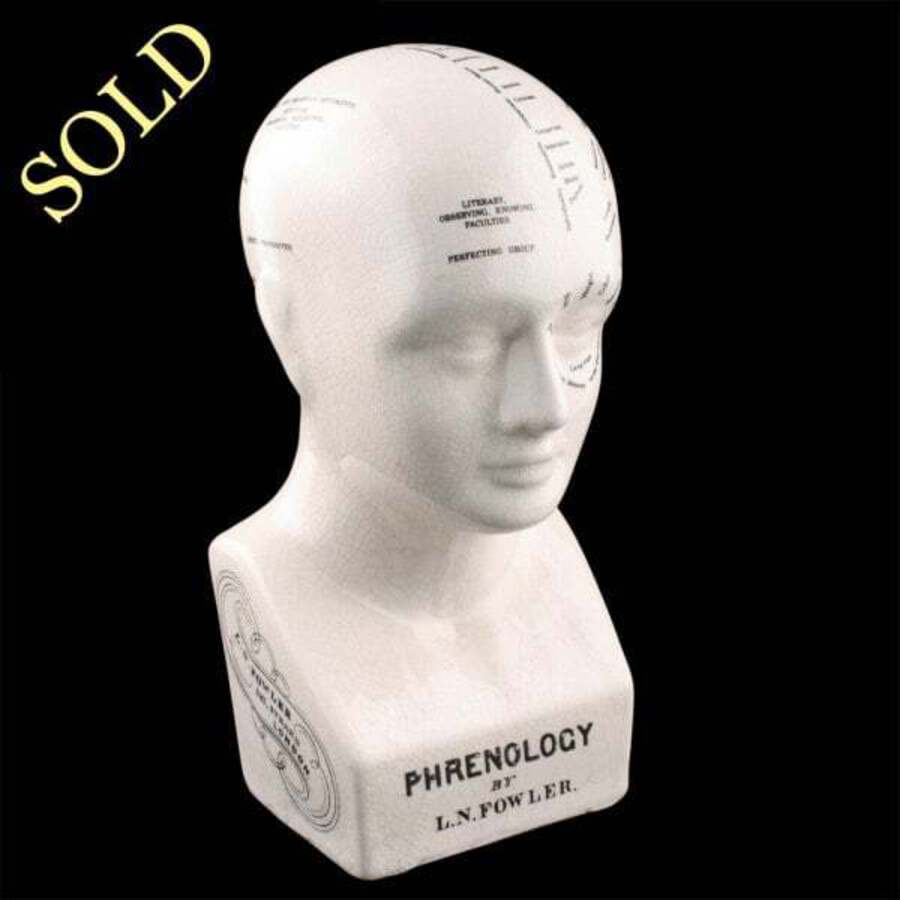 Antique 20th Century Pottery Phrenology Head 
