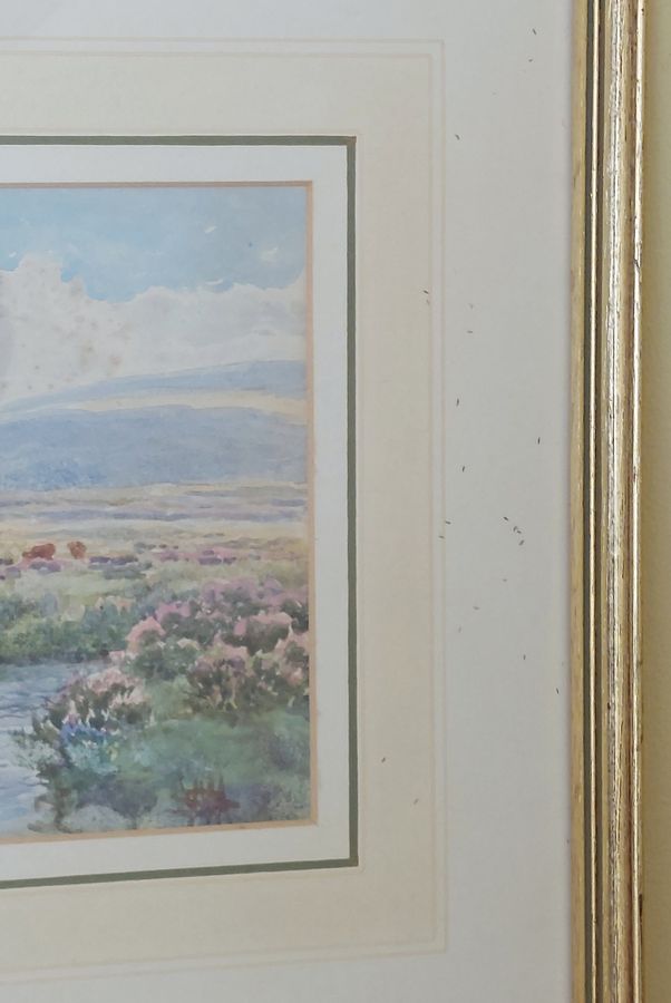 Antique Original Late Victorian Watercolour of Dartmoor Scene with Cattle by W S Morrish