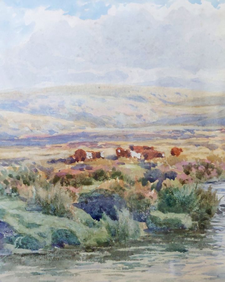 Antique Original Late Victorian Watercolour of Dartmoor Scene with Cattle by W S Morrish