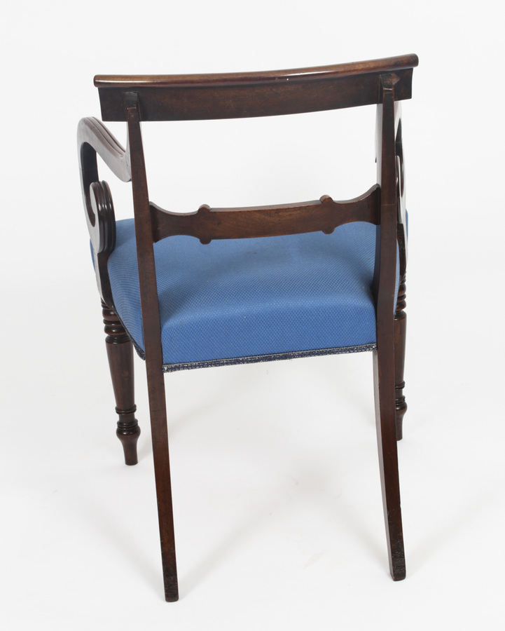 Antique Antique Set 8 Regency period Dining Chairs C1830 19th Century