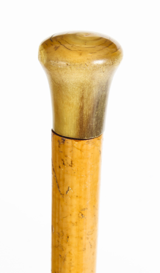 Antique Domed Horn Pommel / Corkscrew Walking Stick Cane, C1880