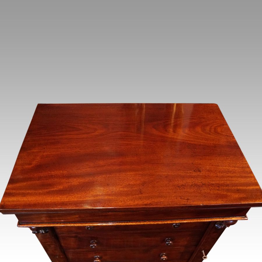 Antique Small Victorian mahogany Wellington chest