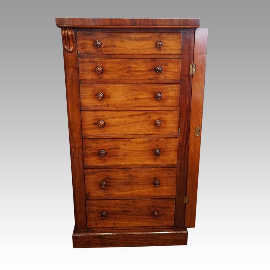 Antique Victorian mahogany Wellington chest