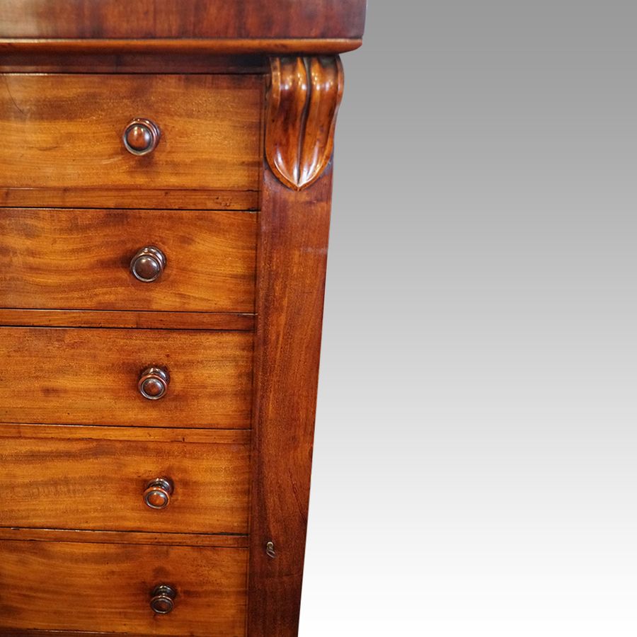 Antique Victorian mahogany Wellington chest