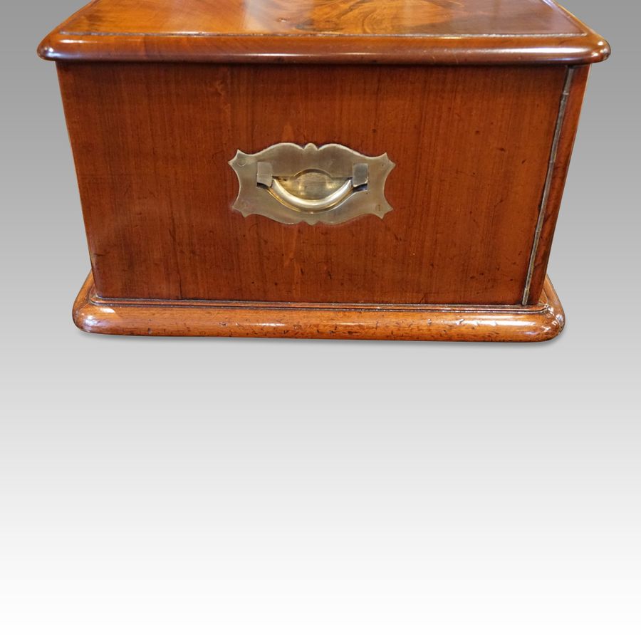 Antique Edwardian mahogany collectors cabinet
