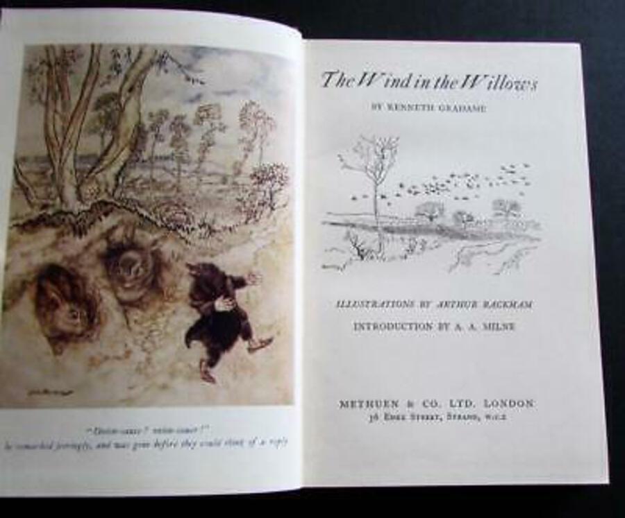 ARTHUR RACKHAM Illustrated Edition THE WIND IN THE WILLOWS By KENNETH GRAHAME
