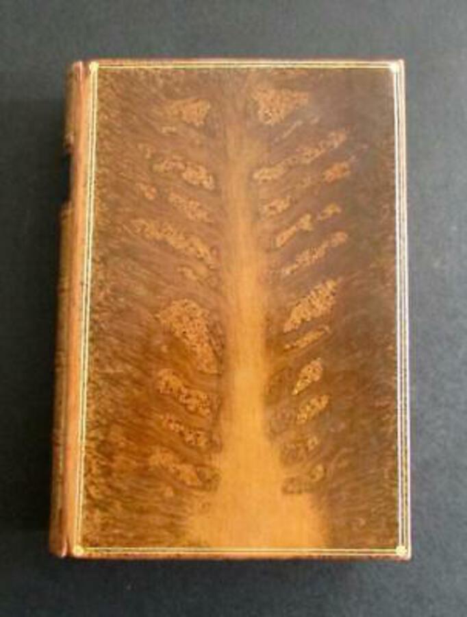 1905 The POETICAL WORKS of WILLIAM WORDSWORTH Tree Calf FULL LEATHER BINDING