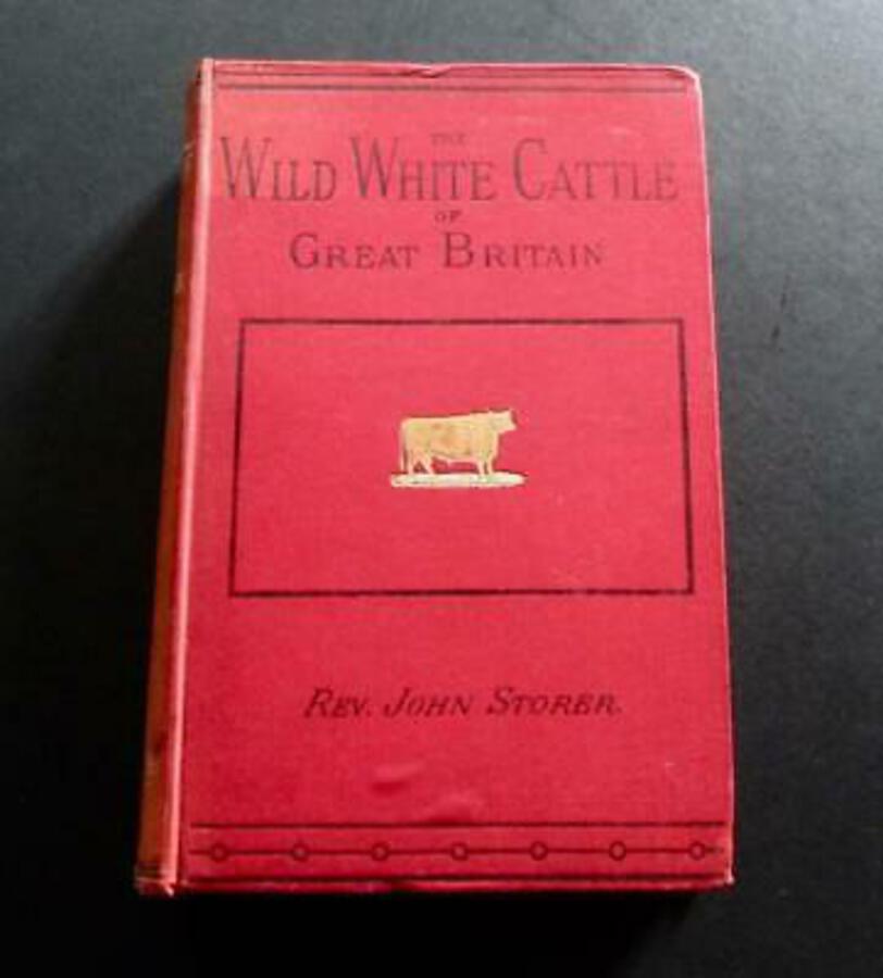 1879 THE WILD WHITE CATTLE OF GREAT BRITAIN By JOHN STORER 1st Ed HARDBACK