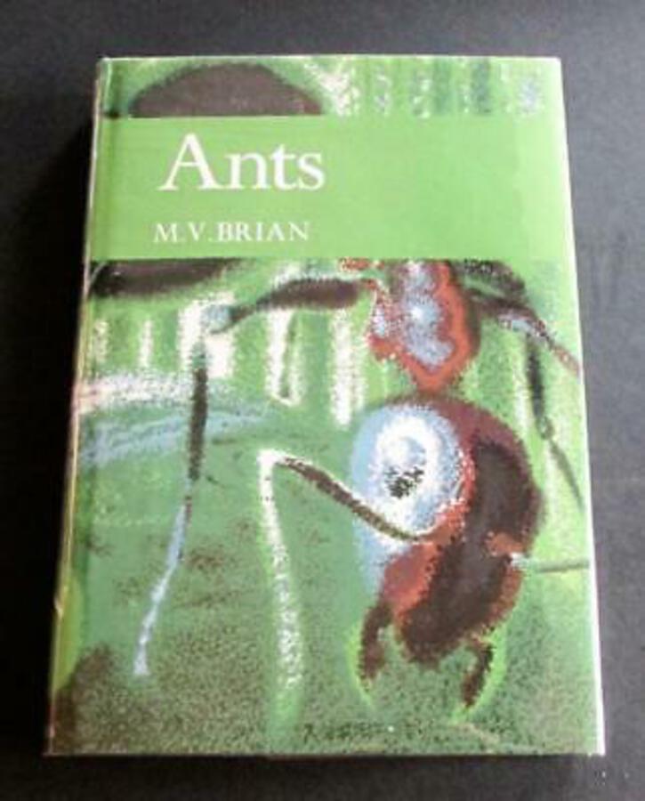 1977 NEW NATURALIST FIRST EDITION Ants No 59 By M V BRIAN Hardback   DUST JACKET