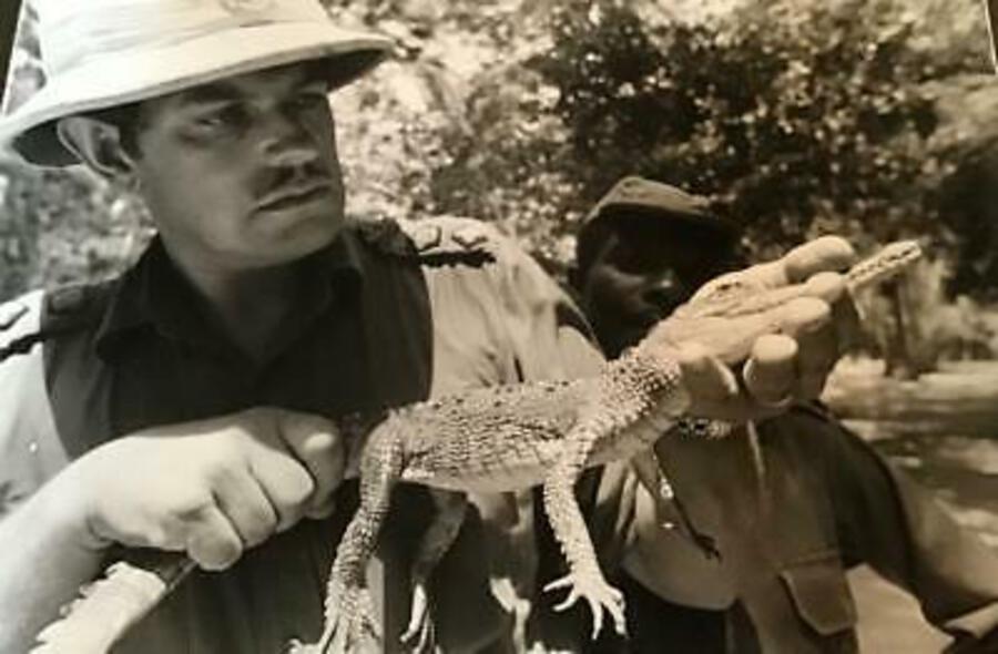 Rare ORIGINAL Old DAILY TELEGRAPH PHOTOGRAPH of BABY CROCODILE Large Size Image