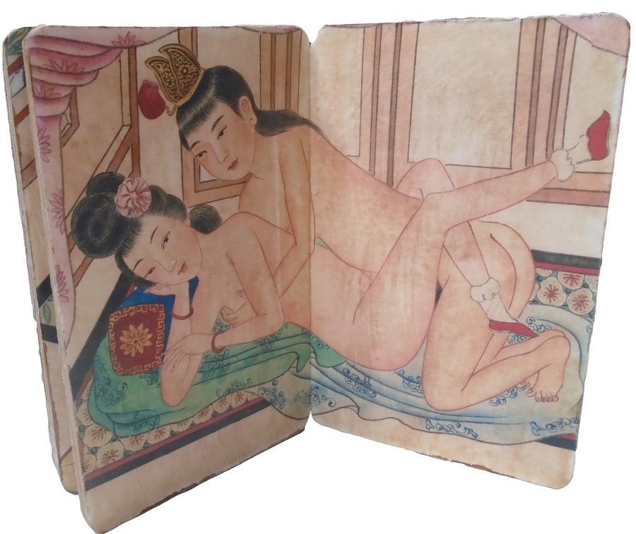 Antique Vintage Chinese Erotica/Pillow Book