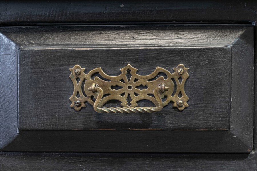 Antique 19thC Ebonised Astral Glazed Bookcase / Vitrine 
