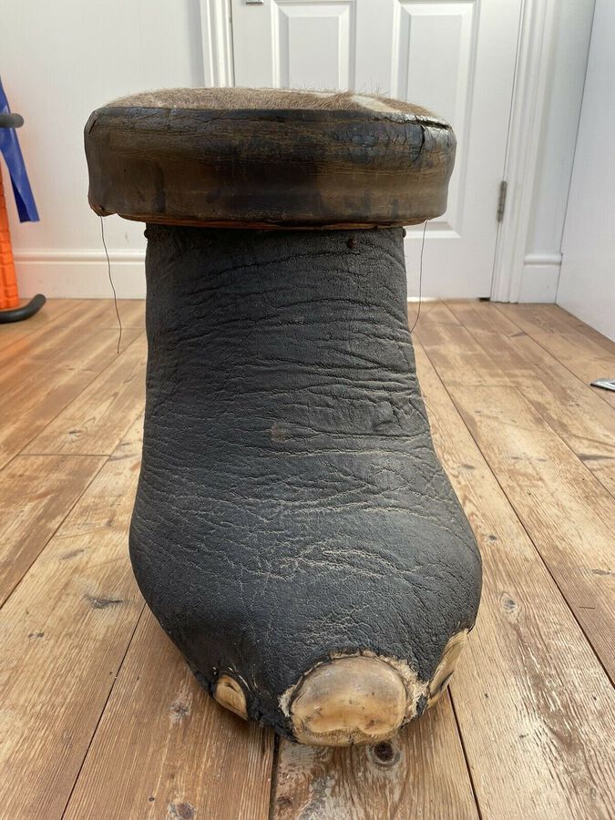 Antique Antique Elephant Foot Stool