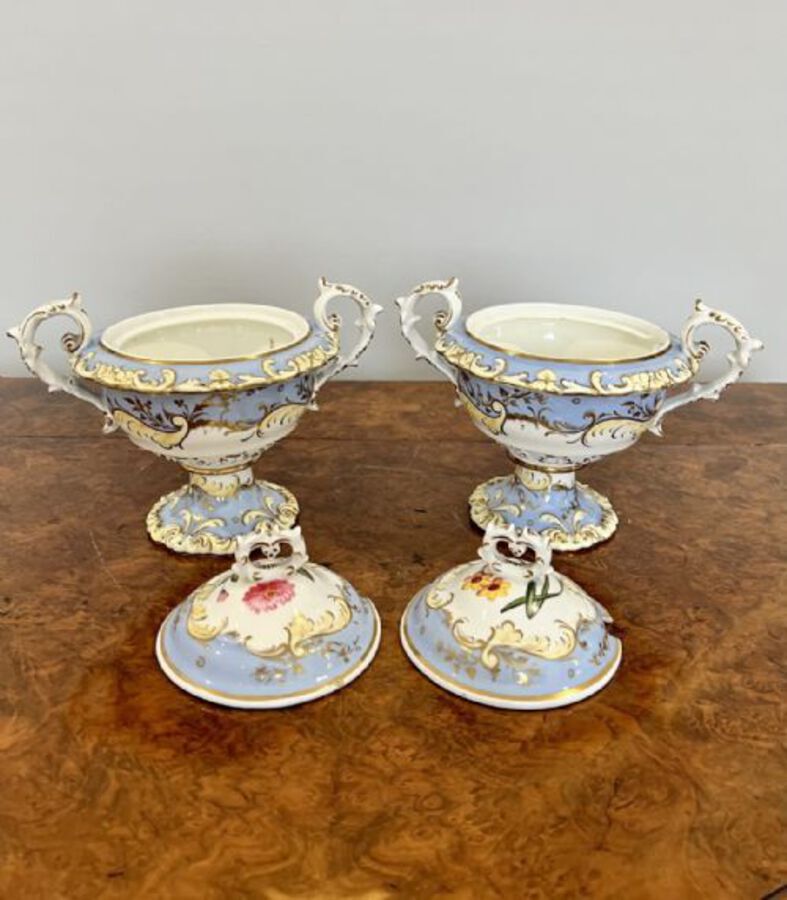 Antique Quality Pair of Chamberlains Worcester sauce tureens and covers 