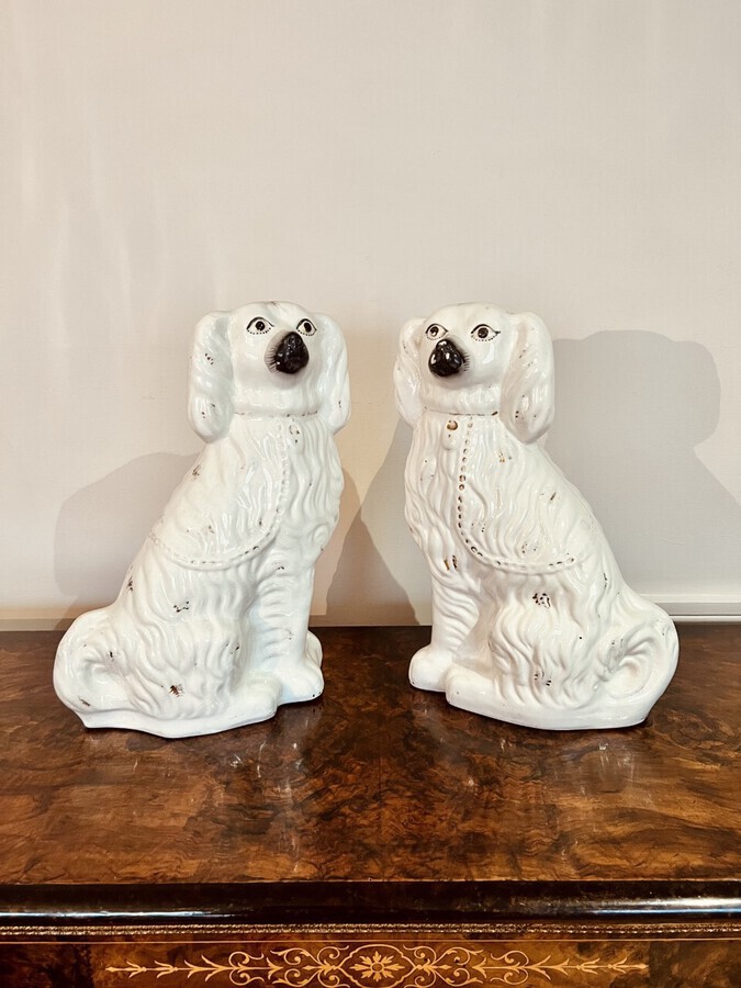 Antique Large pair of Victorian seated Staffordshire spaniel dogs 