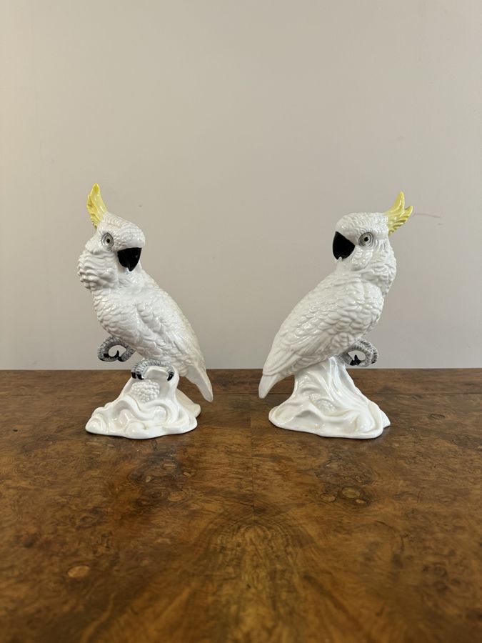 Antique Elegant pair of mid century cockatoos by T.J Jones 