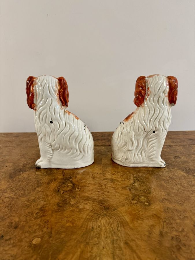 Antique Wonderful pair of antique Victorian seated spaniels 