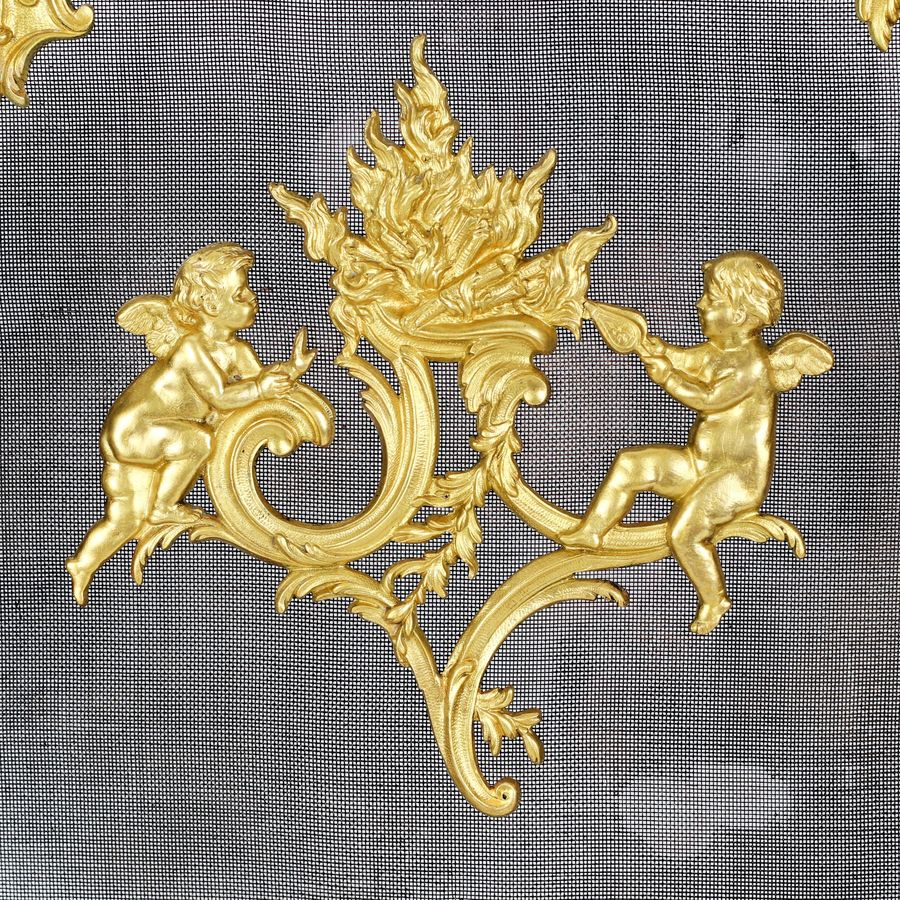 Antique French rococo fireplace screen. 19th century.