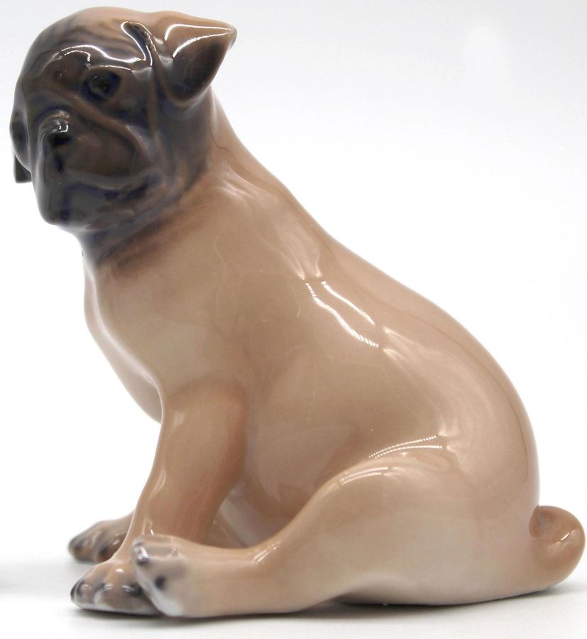 Antique Royal Copenhagen. Pug Puppy. 1955 year.